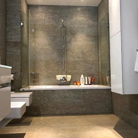 Luxury Apt&garage Apartment